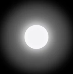 Rainette Badge Rétroréfléchissant Cycliste -VTT Soldes Magasin badge reflechissant lumineux velo