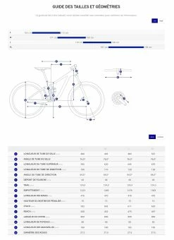 Velo VTT Electrique Giant Reign E+ 1 Pro S 625Wh Rouge T.M -VTT Soldes Magasin guille tailles geometrie vtt vae giant reign e plus 1 1