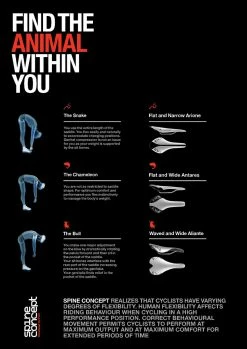 Selle Vélo De Route Et VTT Fizik Aliante R1 Braided Blanche -VTT Soldes Magasin spine concept fizik materiel velo find your animal 1 2